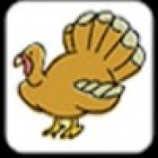 Cover Thanksgiving Matching