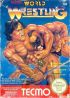 Cover Tecmo World Wrestling - NES
