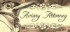 Cover Aviary Attorney