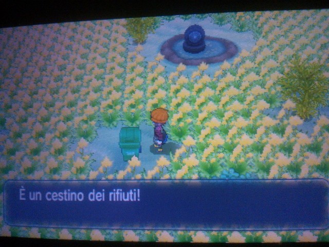 Drift Ah Ok Grazle Non L Avevo Capito Drift Pokemon Y Ludomedia Характеристики перья для гразла feathers for grazle. ludomedia