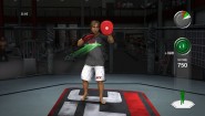 Immagine UFC Personal Trainer (PS3)