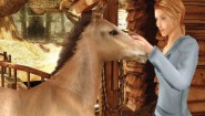 Immagine Immagine Petz Horsez 2 PC