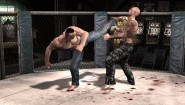 Immagine Supremacy MMA (PS3)