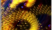 Immagine Bullet Candy Perfect (Linux)