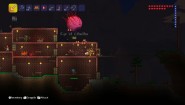 Immagine Terraria Wii U