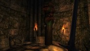 Immagine The Elder Scrolls IV: Shivering Isles (PS3)