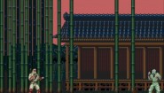 Immagine The Revenge of Shinobi (GBA)