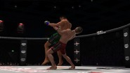 Immagine Bellator: MMA Onslaught (Xbox 360)