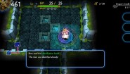 Immagine Immagine DragonFangZ - The Rose & Dungeon of Time Nintendo Switch