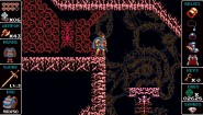 Immagine Odallus: The Dark Call PC