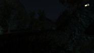 Immagine Immagine The Secret of Pineview Forest PC
