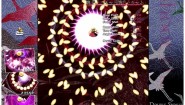 Immagine Immagine Touhou Project PC