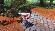 Immagine Immagine Dawn of Magic 2 - Time Of Shadows PC