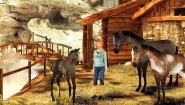 Immagine Petz Horsez 2 (PC)