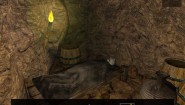 Immagine LEGIE (PC)