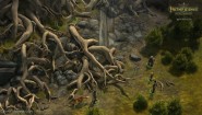 Immagine Immagine Pathfinder: Kingmaker Linux