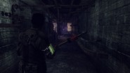 Immagine Afterfall: InSanity (PC)