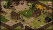 Immagine Wild Terra Online (Linux)