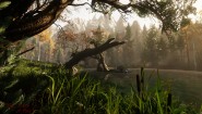 Immagine The Land of Pain (PC)