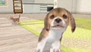 Immagine Immagine Nintendogs + Cats 3DS