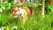 Immagine Wildlife Park 3 (PC)