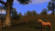 Immagine Agricultural Simulator 2011 Extended Edition (PC)