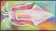 Immagine Immagine Art Academy: SketchPad Wii U