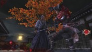 Immagine Shinobido 2: Revenge of Zen (PS Vita)