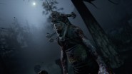 Immagine Outlast 2 (Nintendo Switch)
