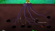 Immagine Flora's Fruit Farm (PC)