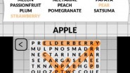 Immagine Word Search by POWGI 3DS