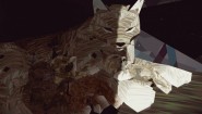 Immagine Shelter 2 (PC)