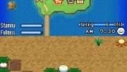 Immagine Harvest Moon: Arcipelago Solare (DS)