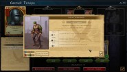 Immagine Strategy & Tactics: Dark Ages (PC)