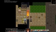 Immagine Dungeons of Dredmor (PC)
