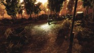 Immagine Immagine DESOLATE PC