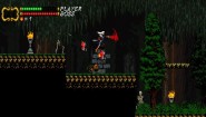 Immagine Citadale (Wii U)