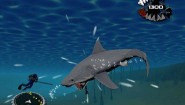 Immagine Jaws: Ultimate Predator (Wii)