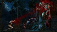 Immagine Blood Knights (Xbox 360)