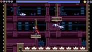 Immagine Antipole DX (Wii U)
