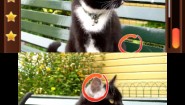 Immagine Spot the Differences! (3DS)