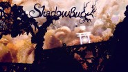 Immagine Shadow Bug (Mac)