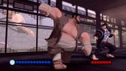 Immagine Karateka (PS3)