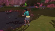 Immagine Immagine The Sims 4 PC