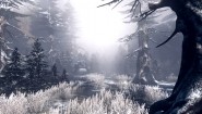 Immagine Immagine The Incredible Adventures of Van Helsing II Mac