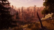 Immagine Will To Live Online (PC)