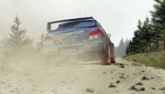 Immagine Colin McRae: DIRT (PC)