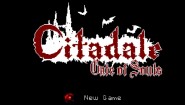 Immagine Citadale (Wii U)