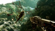 Immagine FARHOME (PC)