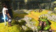 Immagine Immagine Majin and the Forsaken Kingdom Xbox 360